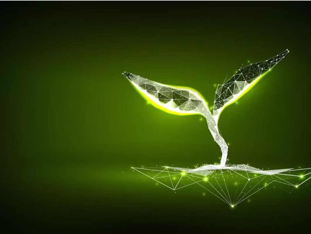 SeedCraft's 4N Framework