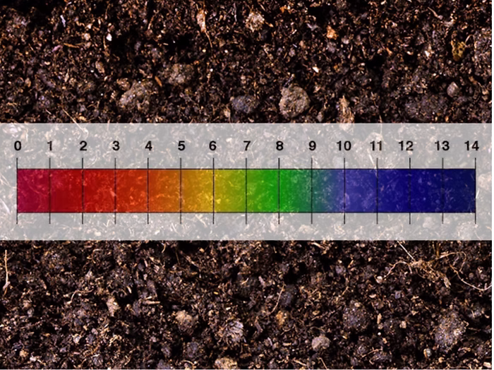 How Soil pH Effects Availability of Plant Nutrients