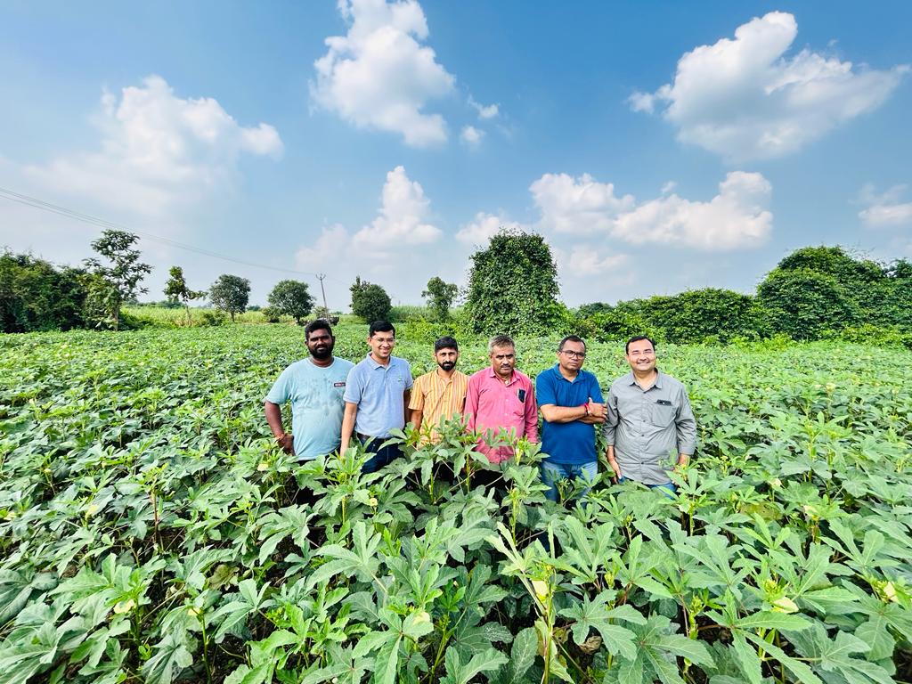 Future of Vegetable Farming in India