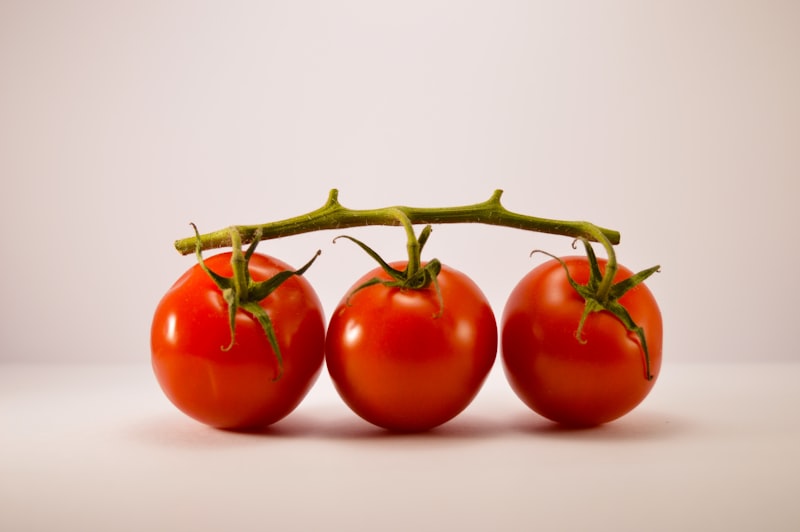 Hybrid tomatoes
